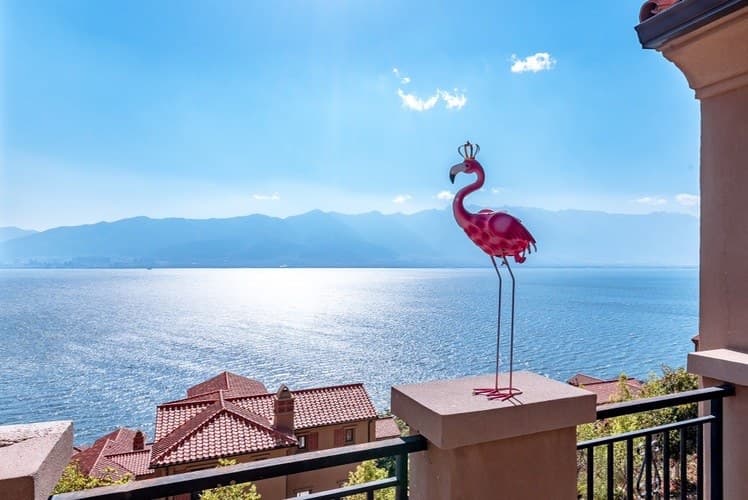 After traveling the world, this villa will bring you peace of mind.