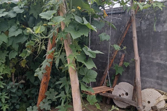trellis swing