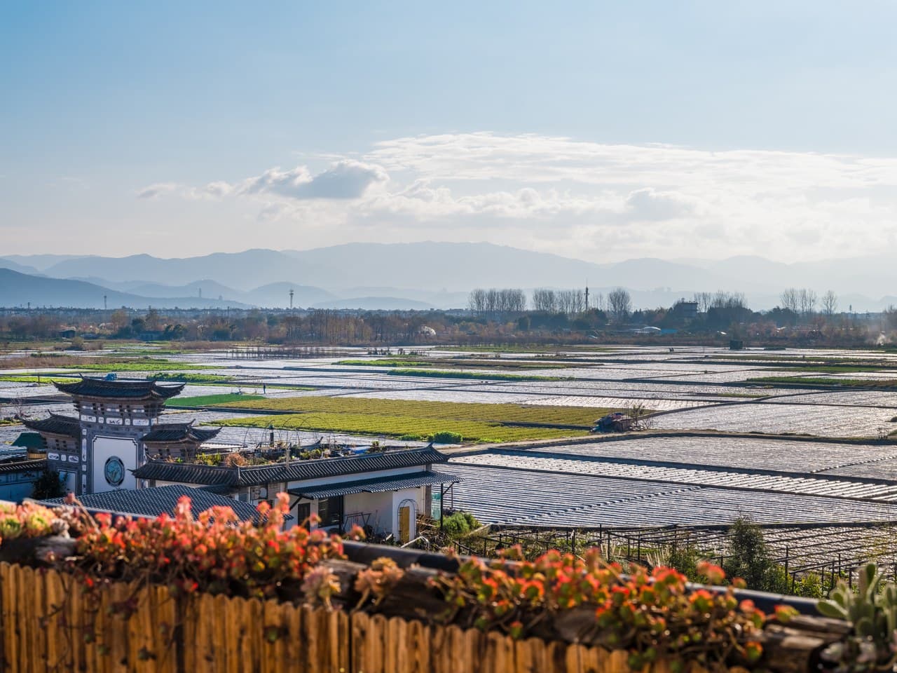pastoral scenery