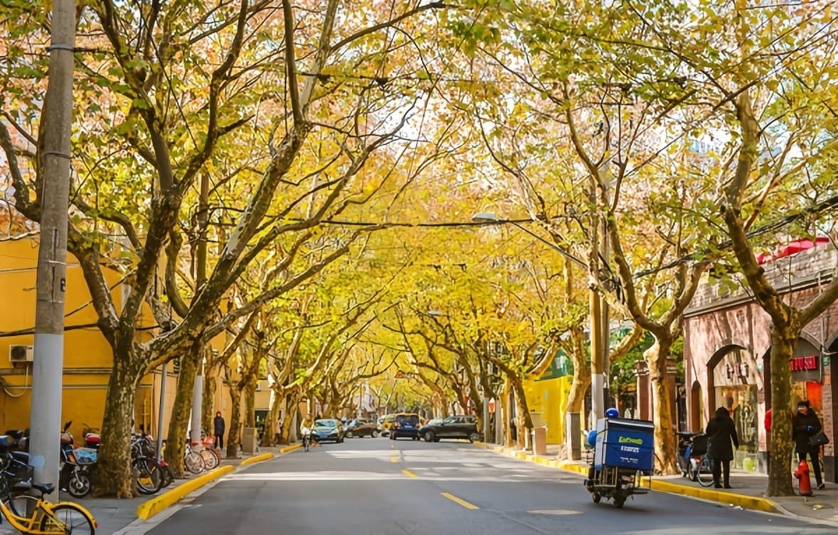 The century-old Yuyuan Road lifestyle aesthetics block