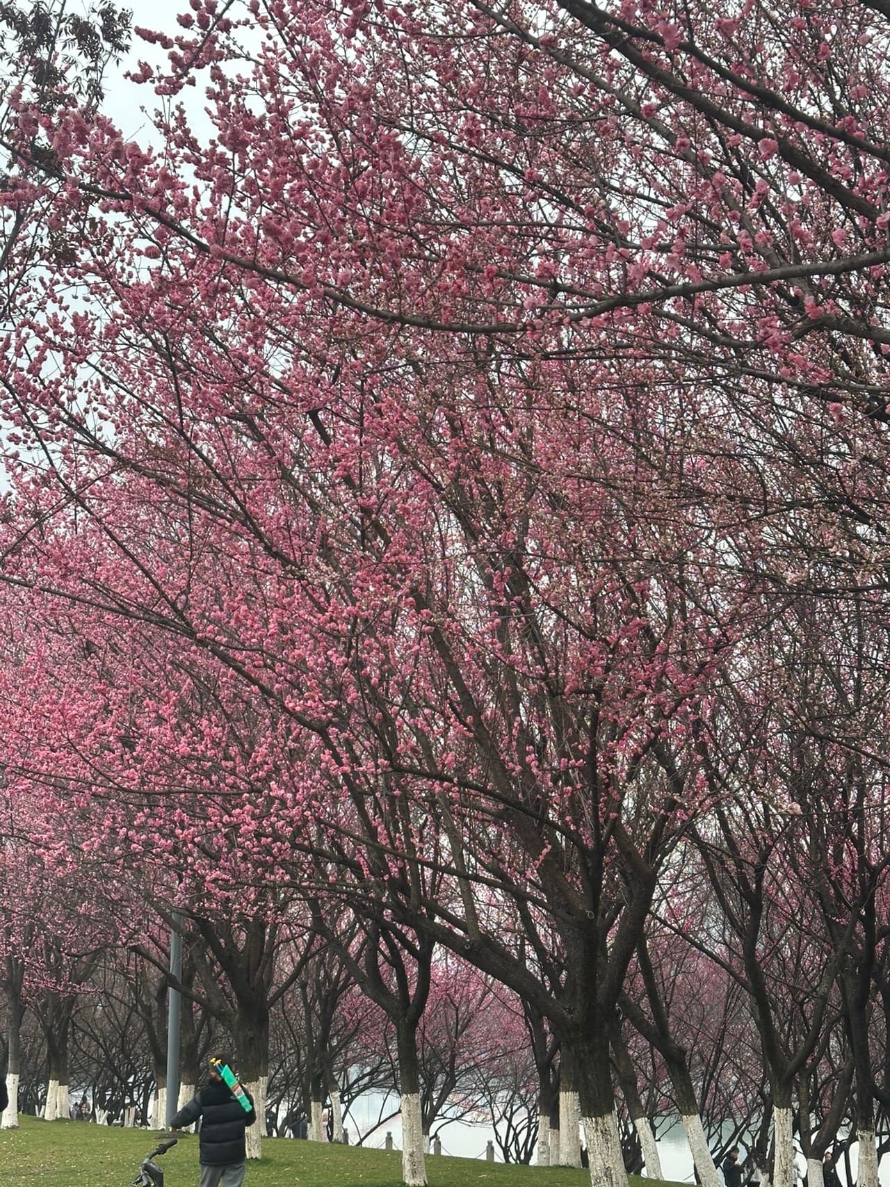 Nearby scenic spots