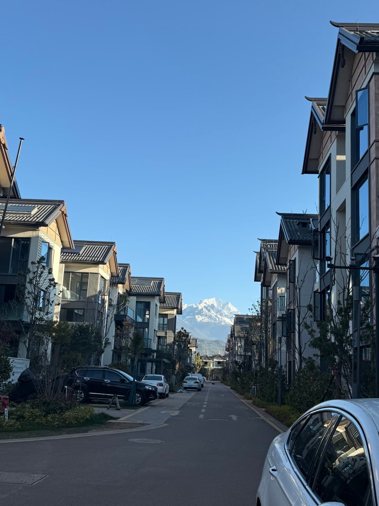 Near the snow-capped mountains, Shuhe Ancient Town, Lijiang Ancient City