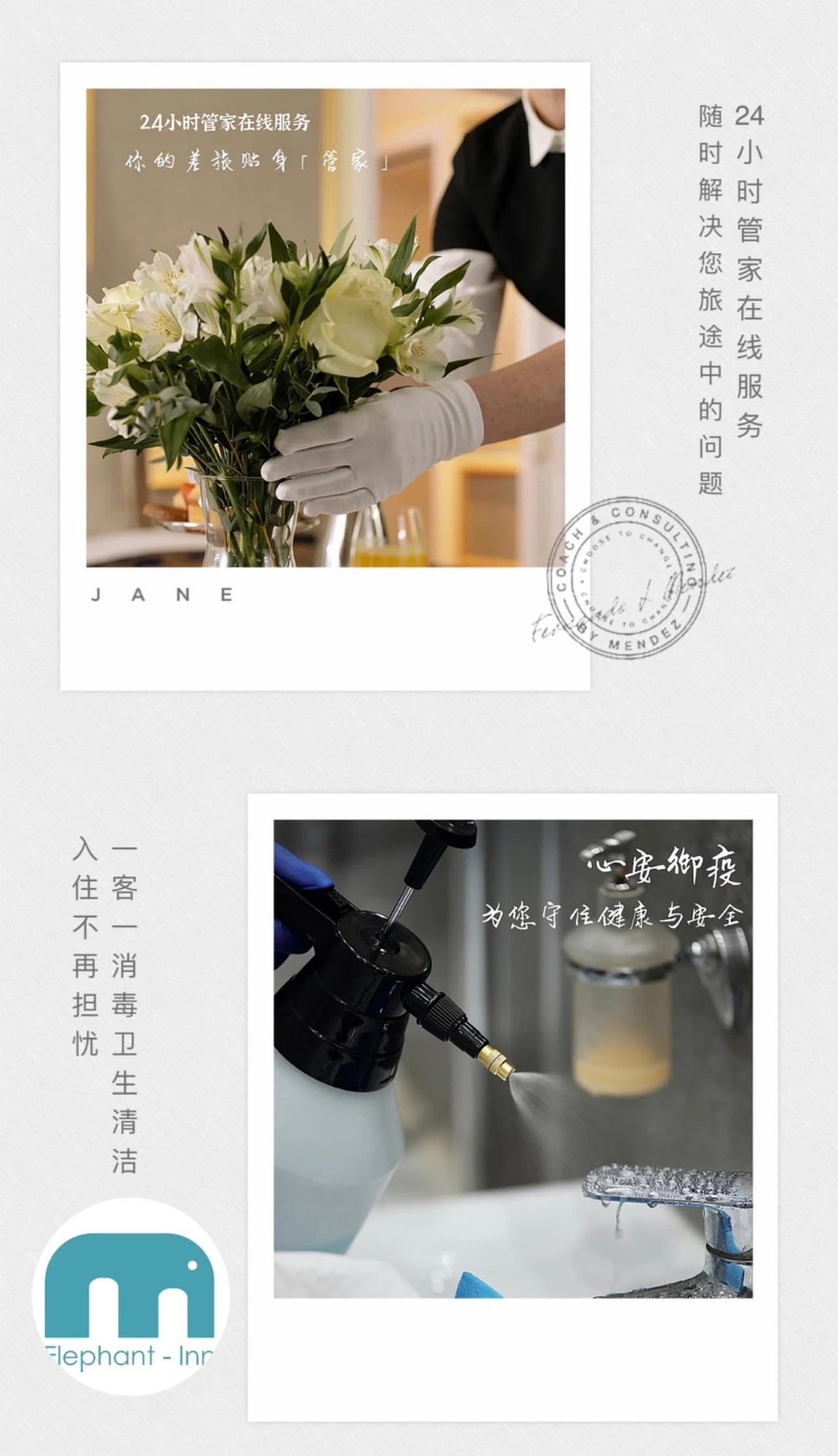Our Services
