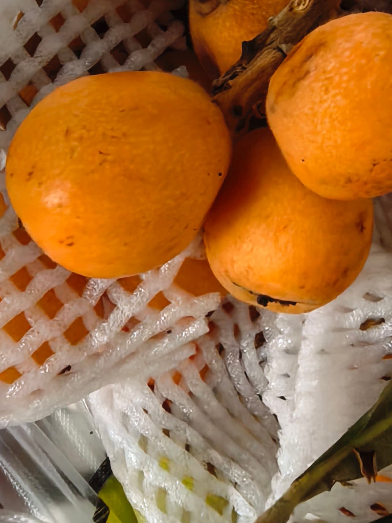 Dali specialty breakfast: Choose three out of six fresh fruits at midday.