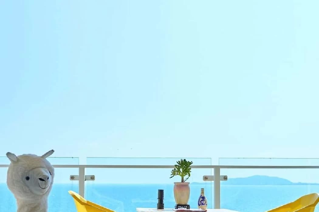 Entire apartment for rent (2 bedrooms) | Dear full sea view homestay