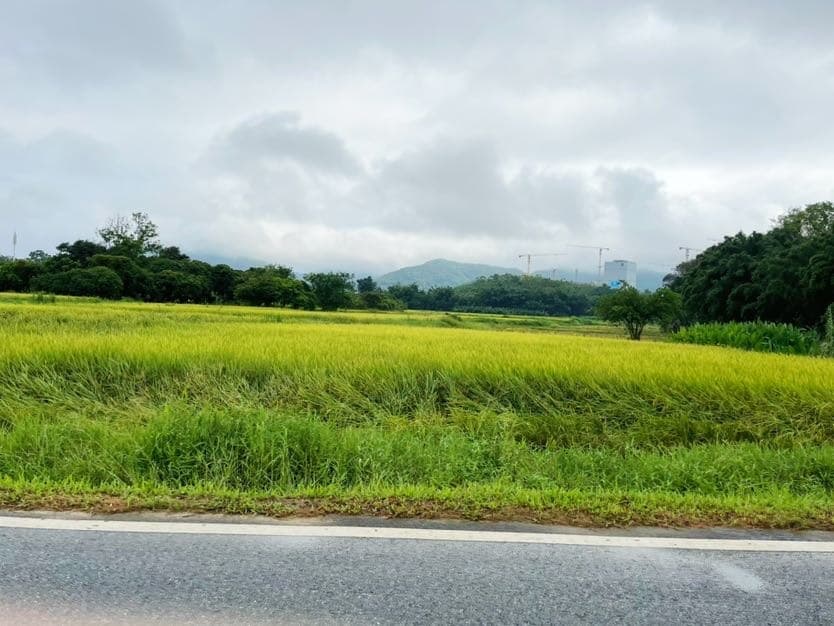 New-style pastoral scenery