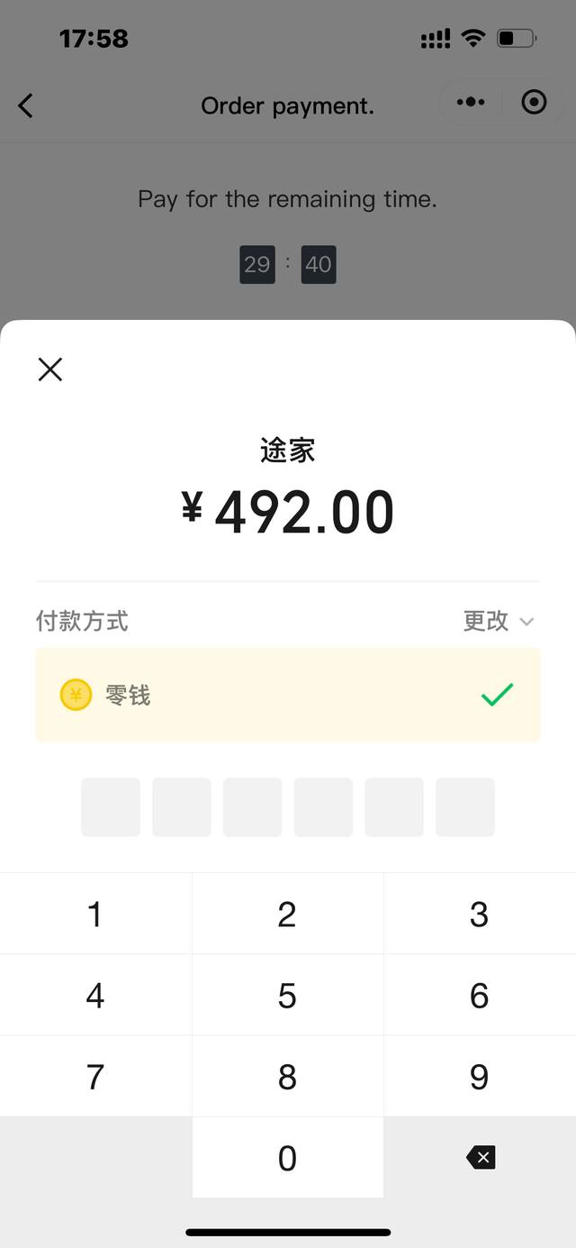 Review the order and pay